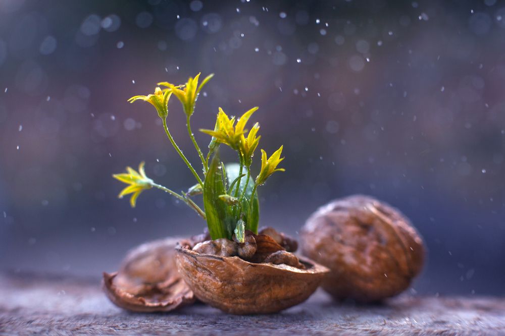 Photograph by Алина Евсеева