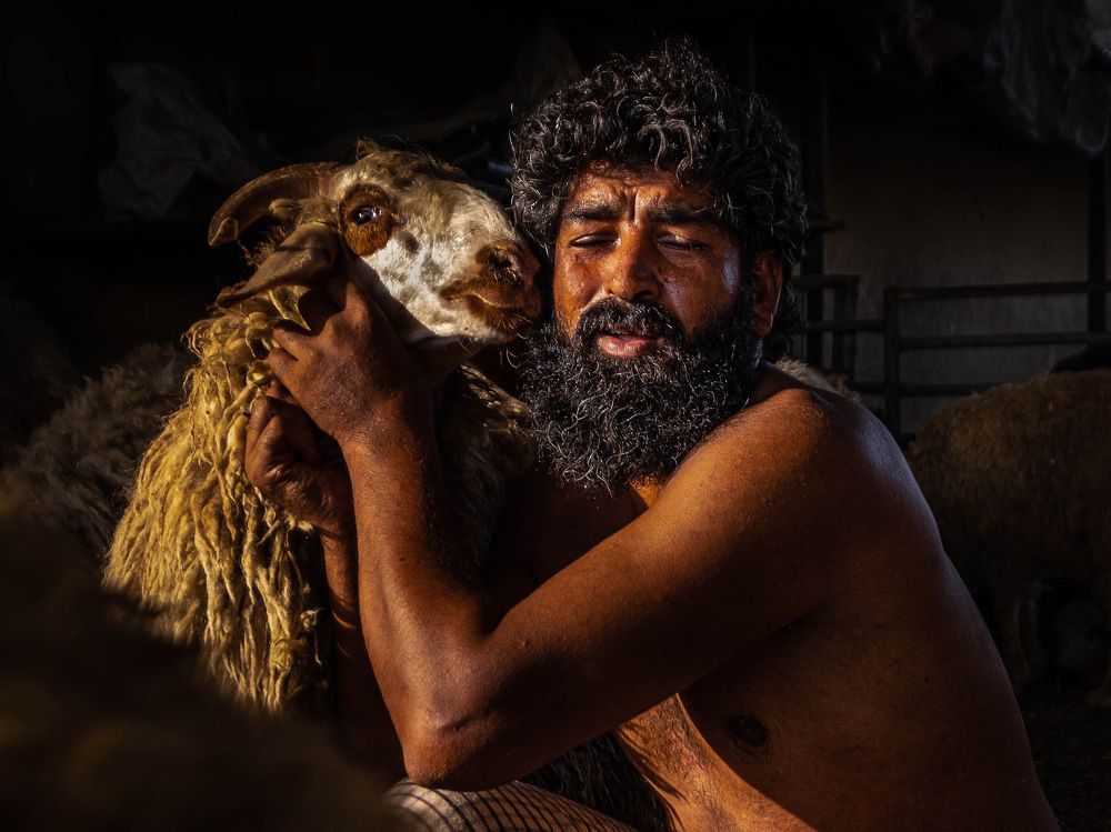 Photograph by TITTU SHAJI THOMAS