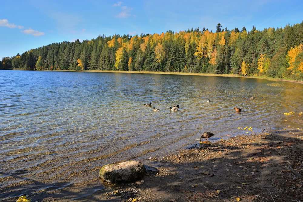 Photograph by Александр Калегин