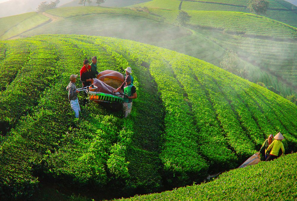 Фотография автора Hau Nguyen Vu