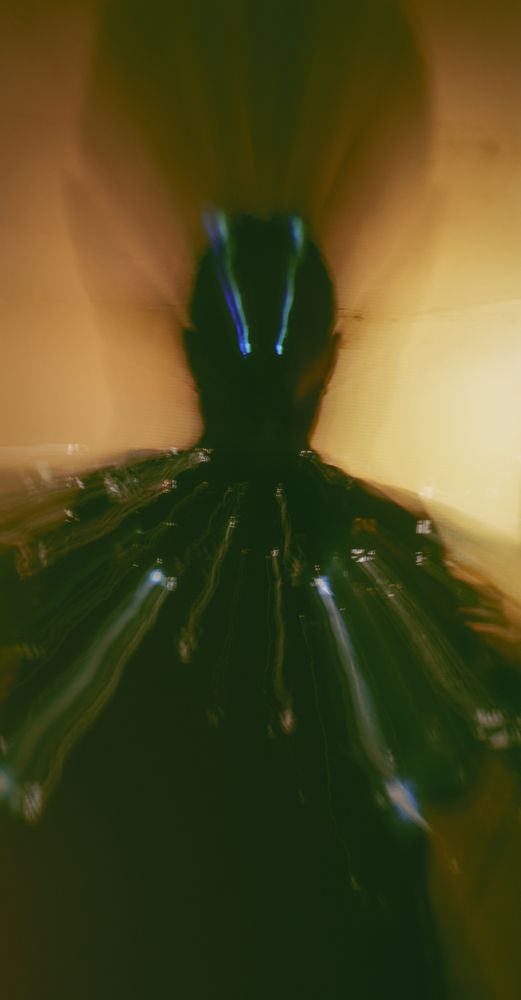 Digital homo (Цифровой человек))