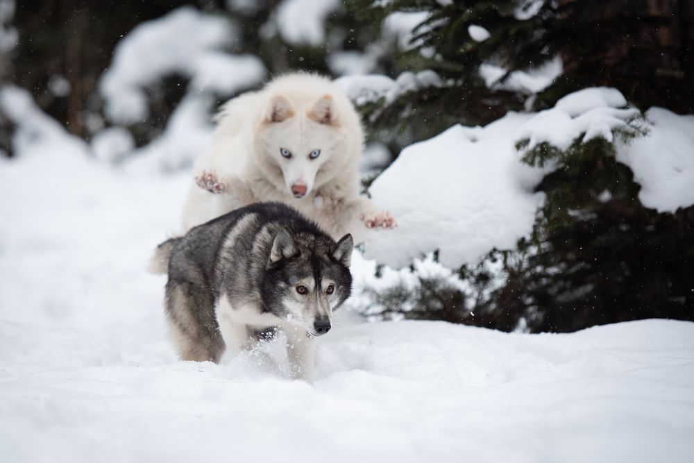 Photograph by Юлия Гасс