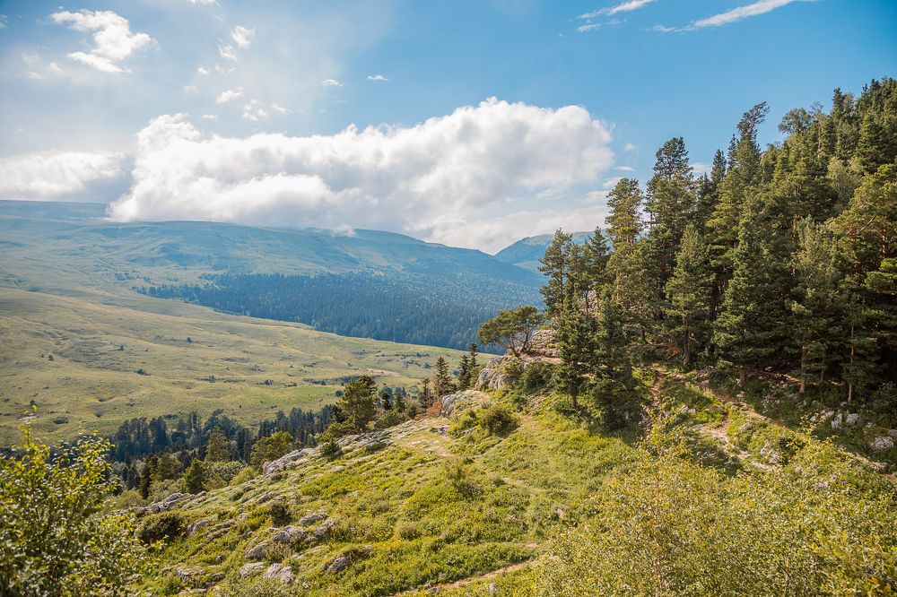 Photograph by Галина Никифорова