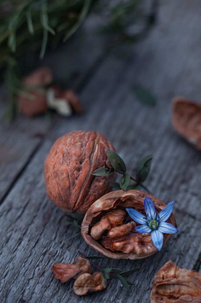 Photograph by Алина Евсеева