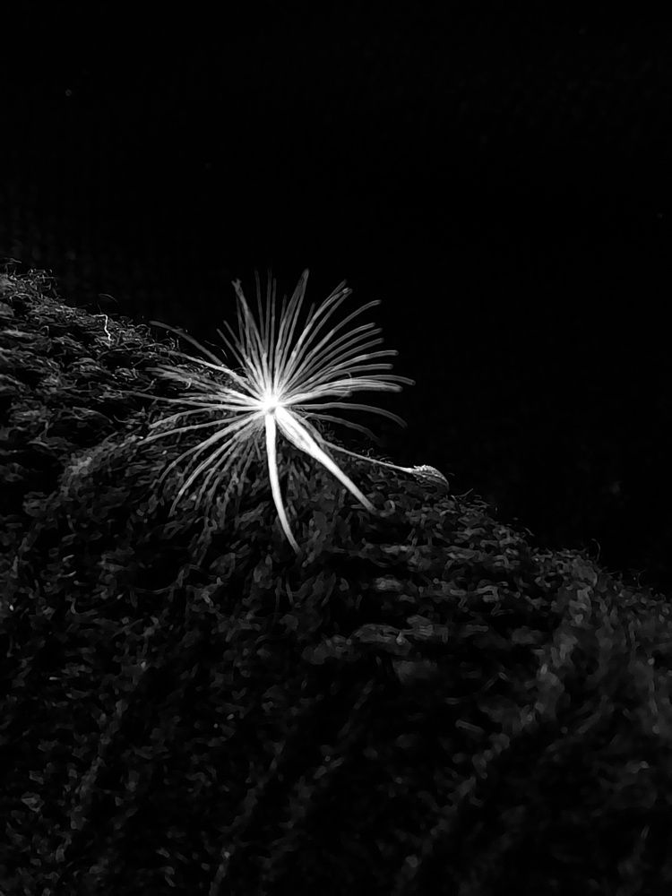 Photograph by Светлана Мазурова