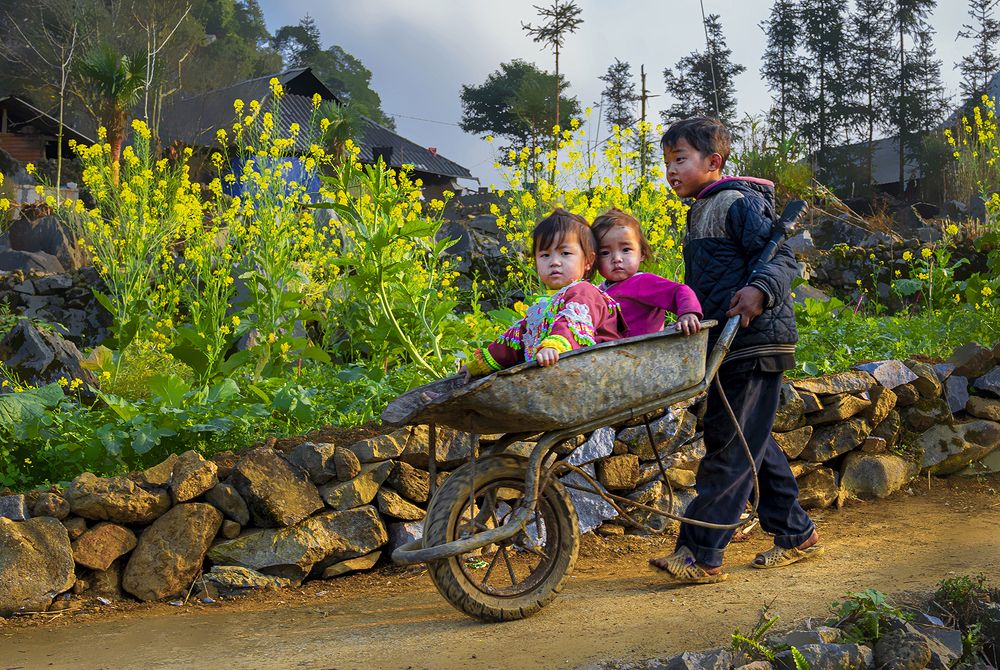 Фотография автора Hau Nguyen Vu