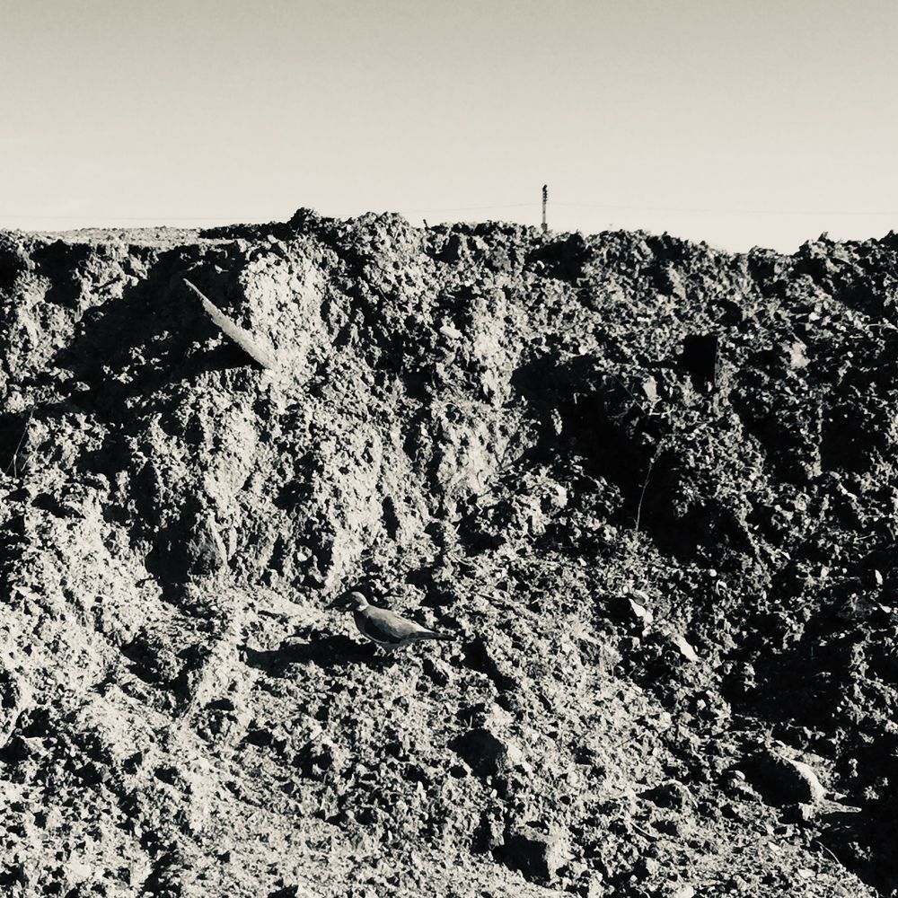 Photograph by Grégory Baillard