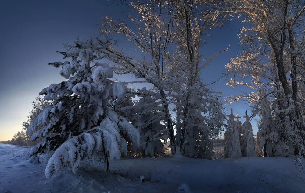 Photograph by Светлана Крат