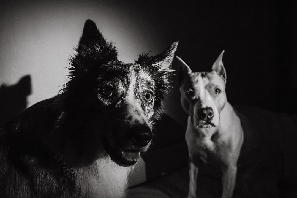 Photograph by Анастасия Пикей