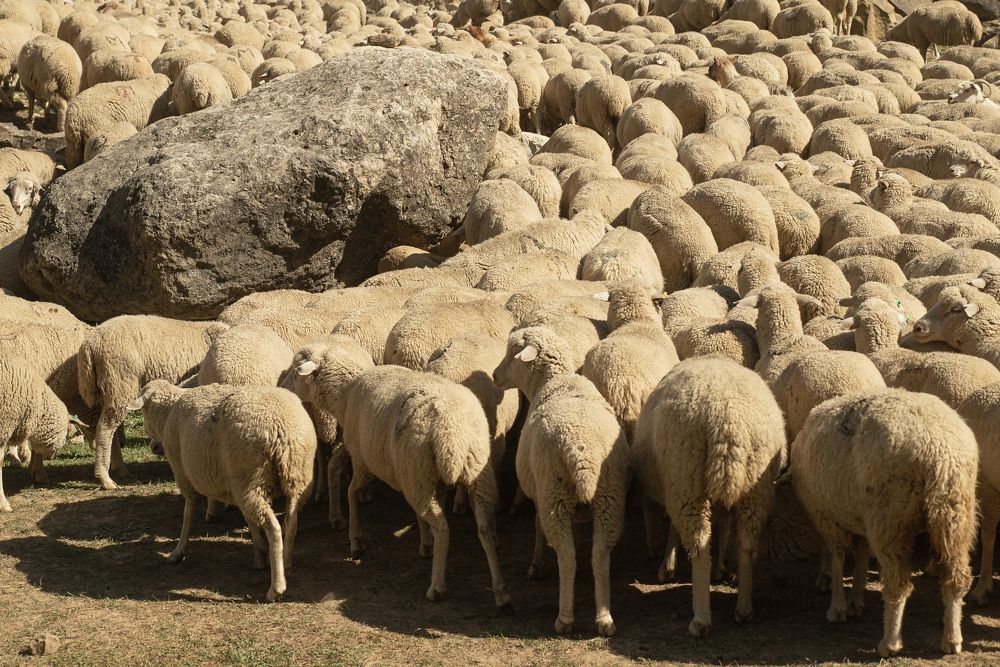 Photograph by Natalie Lamm