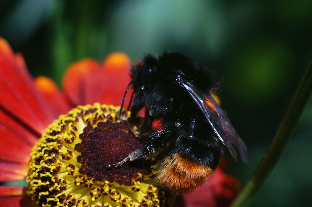 Photograph by Андрей Михайлов