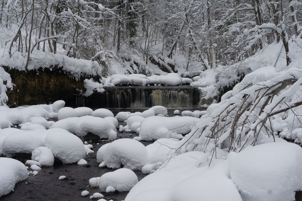 Photograph by Алексей Орнатский