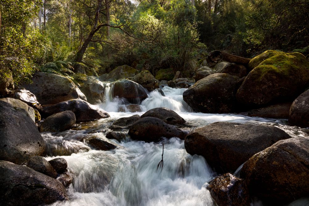 Photograph by David Cottee