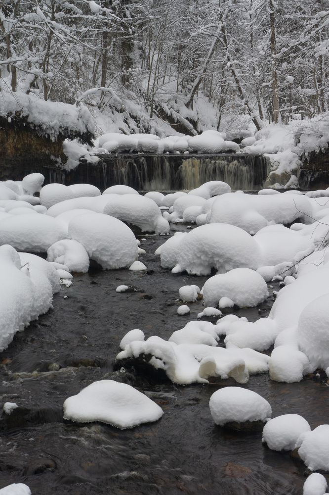 Photograph by Алексей Орнатский
