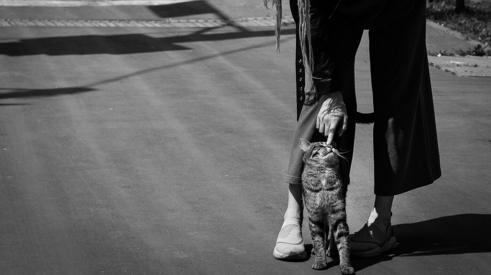 Photograph by Вера Майданова