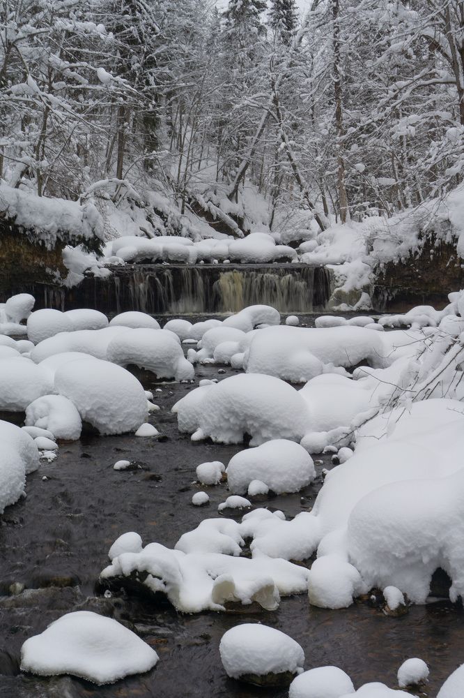 Photograph by Алексей Орнатский