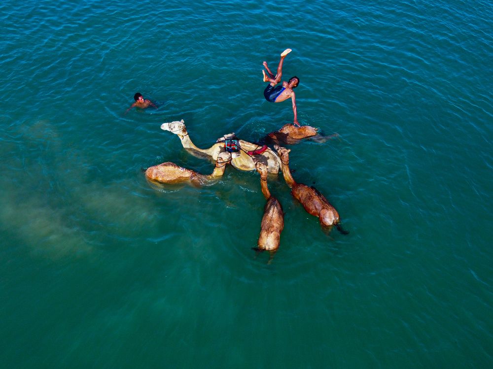 Photograph by TITTU SHAJI THOMAS