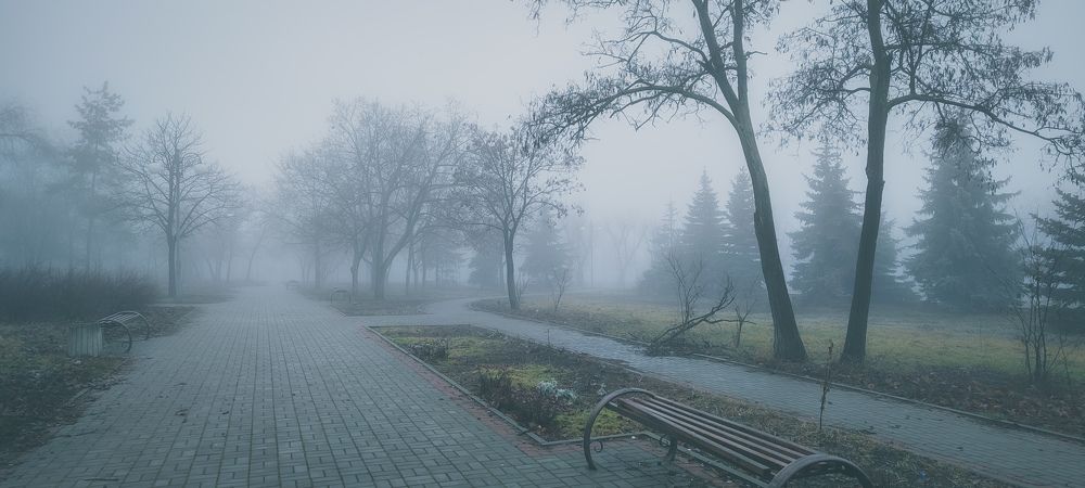 Туман