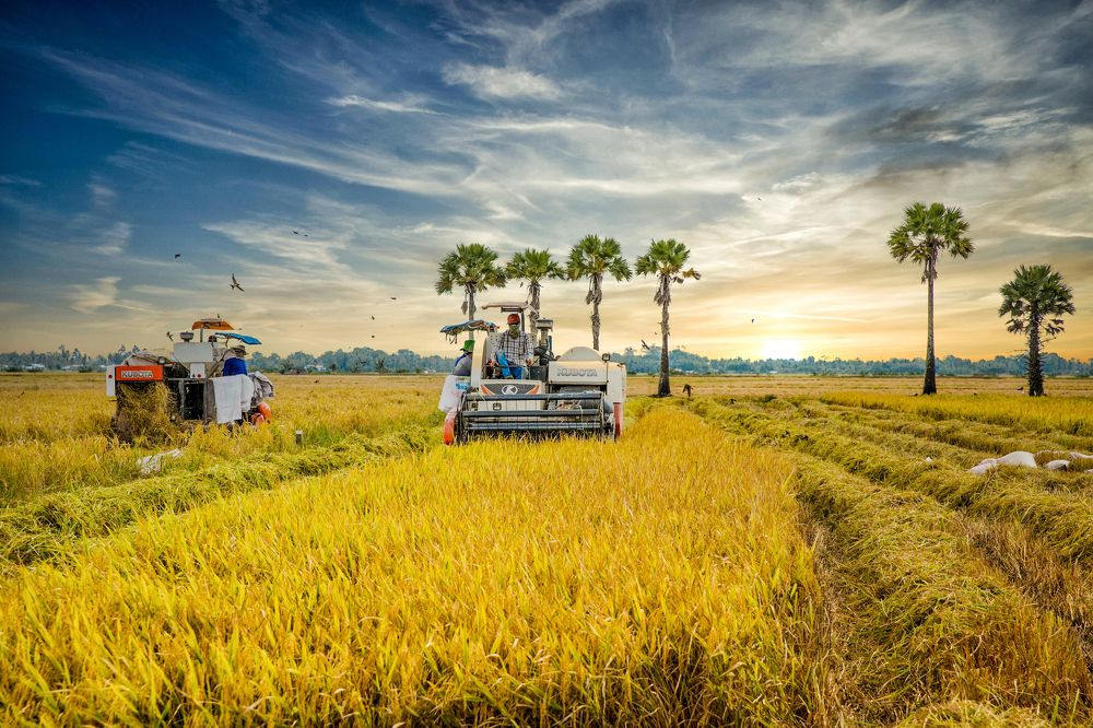 Фотография автора Tính Nguyễn