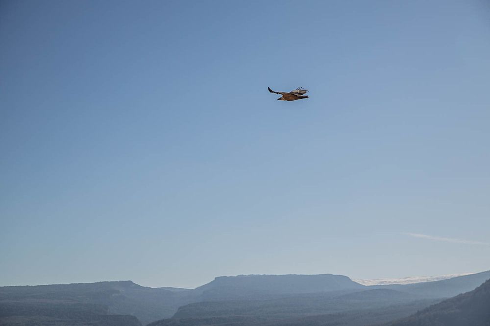 Photograph by Галина Никифорова