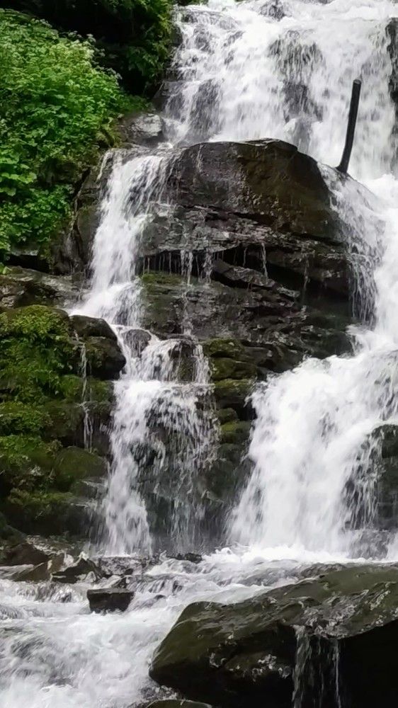 Photograph by Ирина