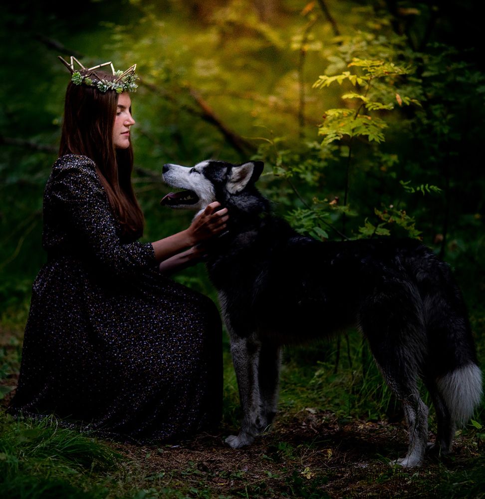 Фотография автора Софья Шарабурко