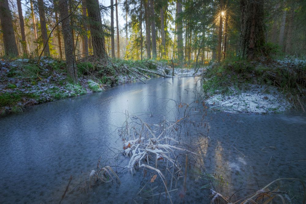 Photograph by Игорь Зайцев