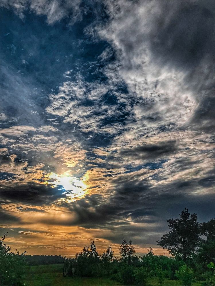 Photograph by Ольга Уласик