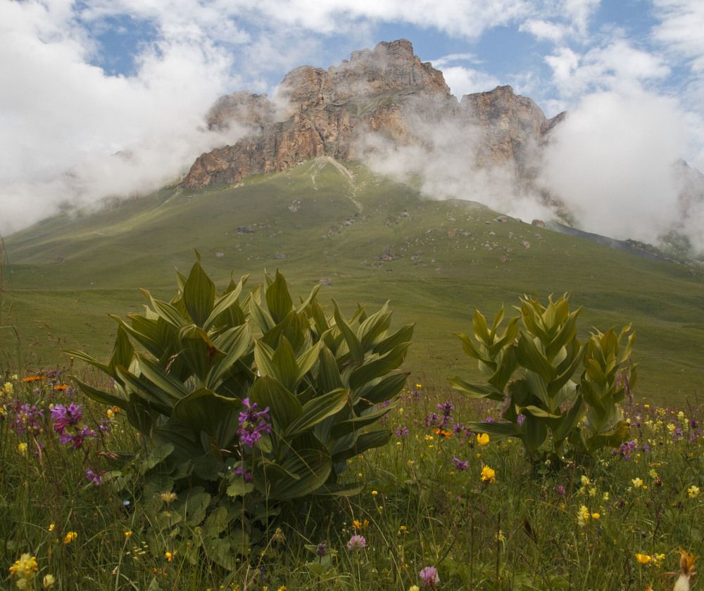 Photograph by Родион