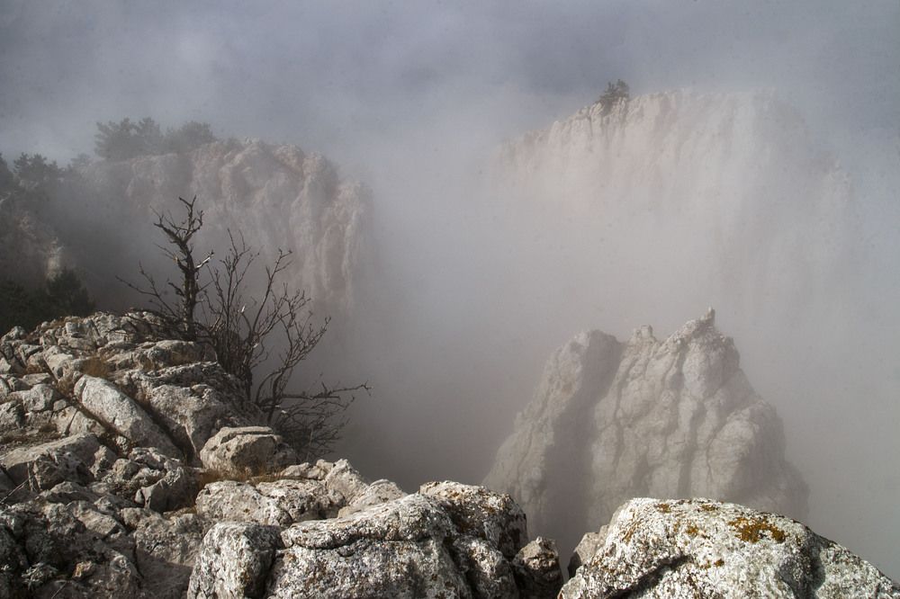 Photograph by Родион