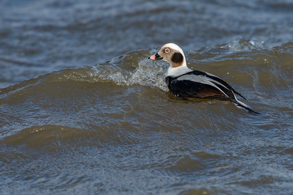 Photograph by Gatis Vilbrants