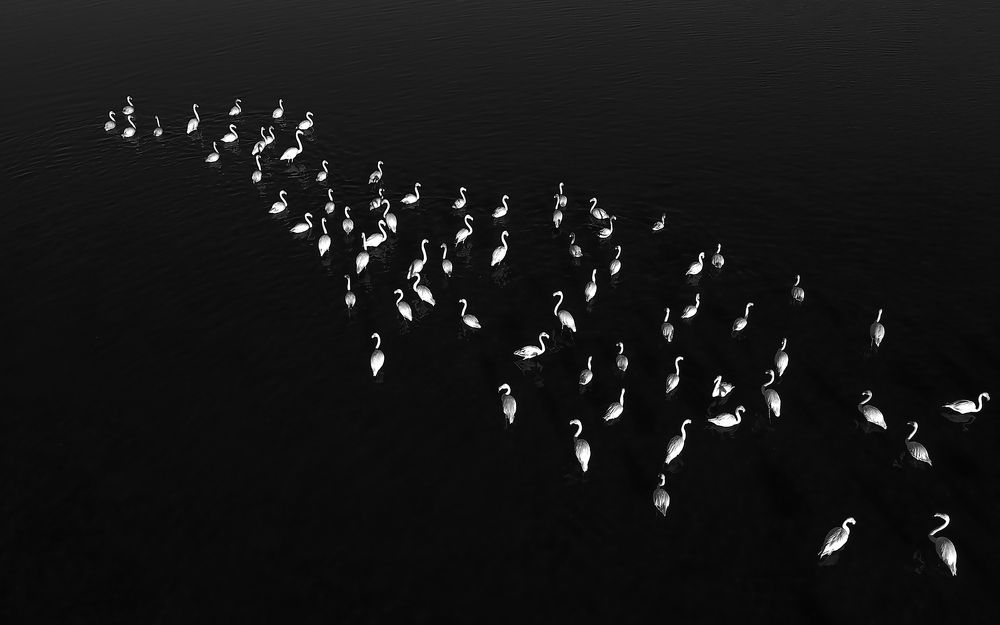 Photograph by TITTU SHAJI THOMAS