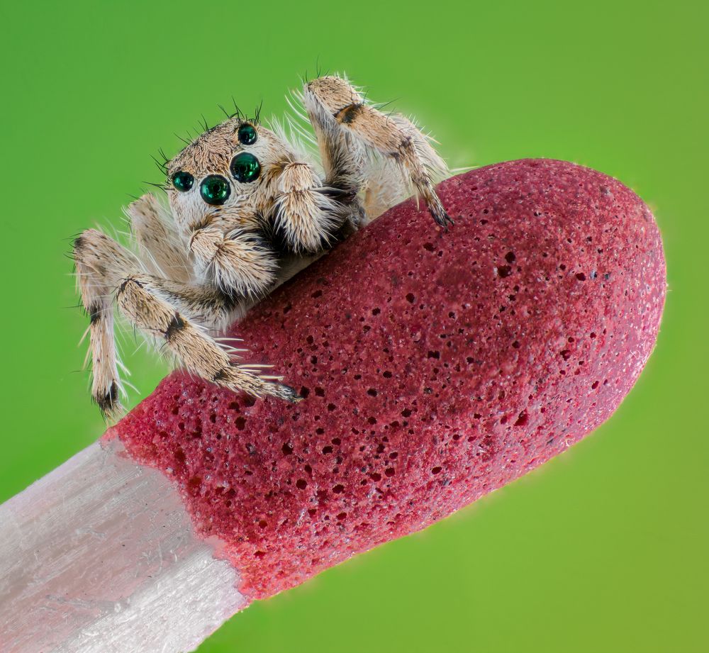 Photograph by Abolfazl Arab