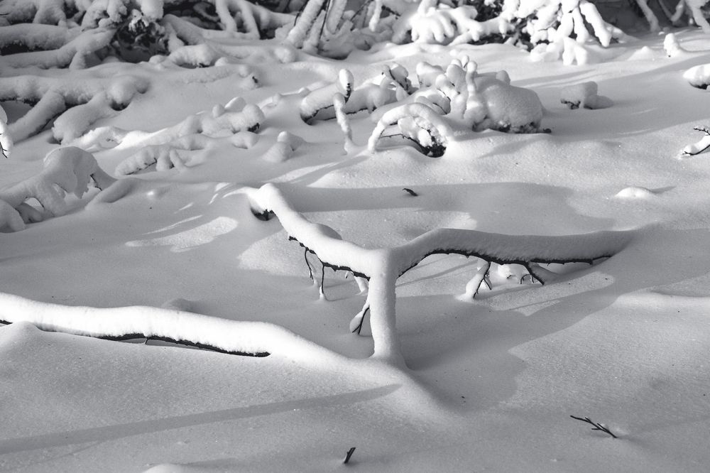 Photograph by Трайко Байко