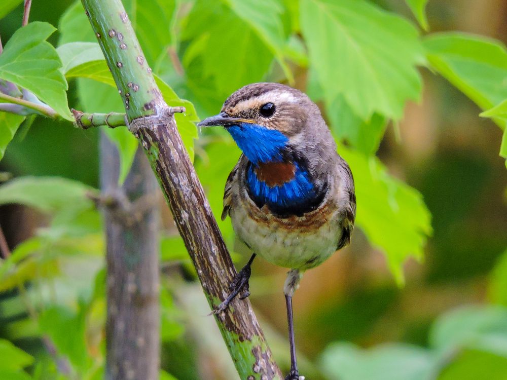 Photograph by Игорь Степанов