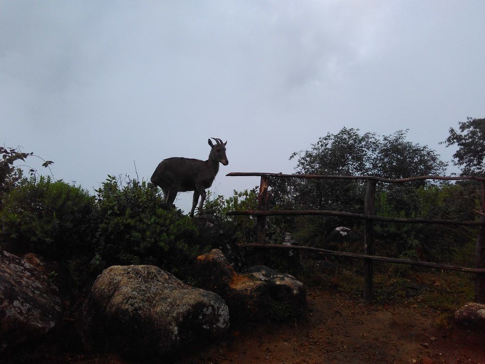 Photograph by Sajal Menon