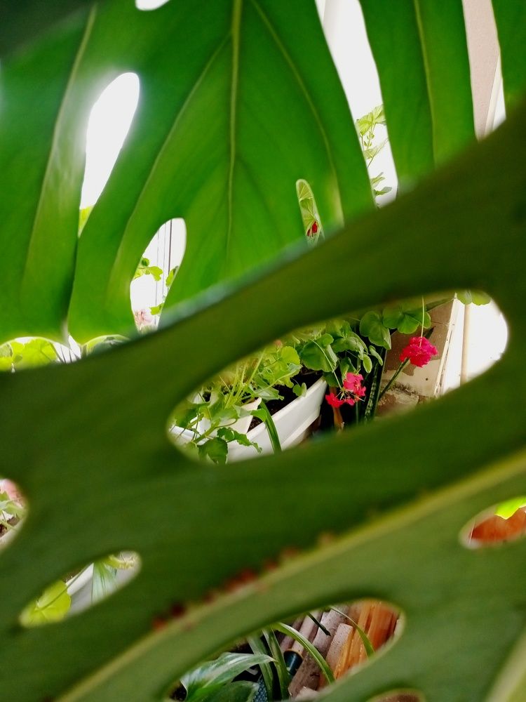 Photograph by Татьяна