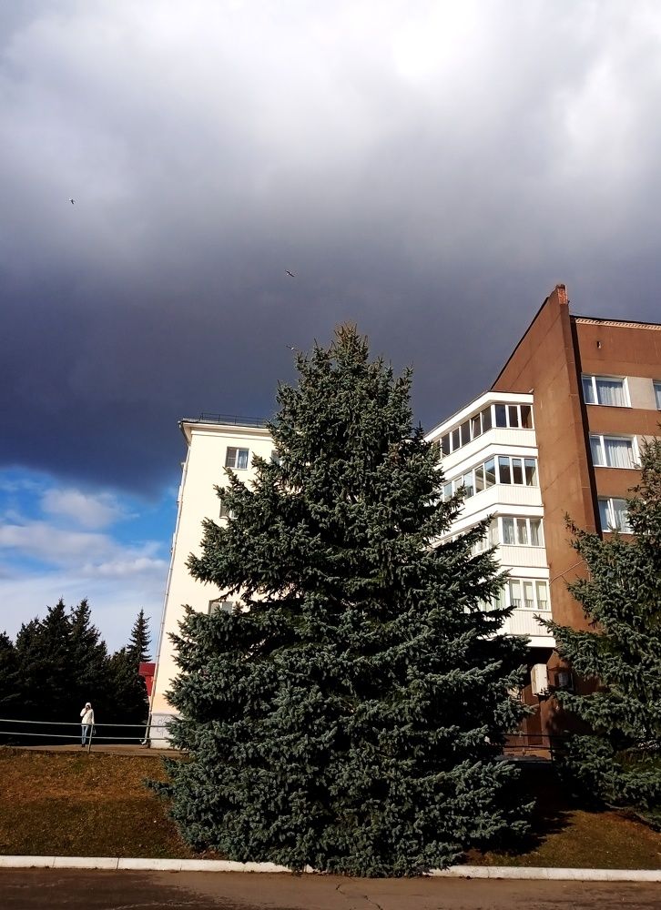 Photograph by Татьяна