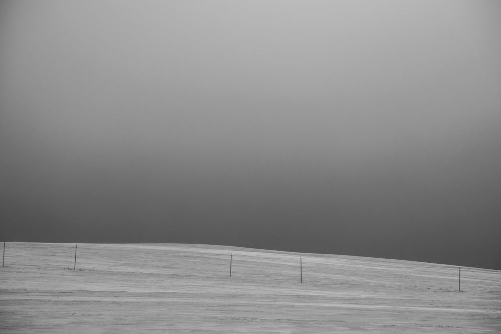 Photograph by Света Назарова