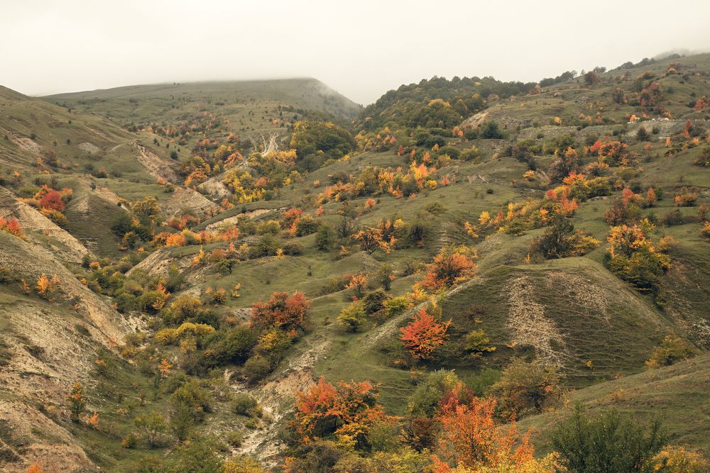 Photograph by Natalie Lamm