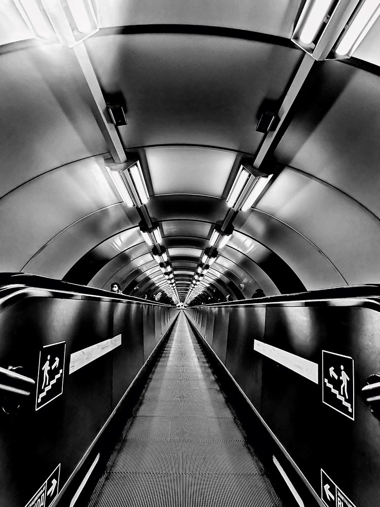 Photograph by Мария Тёмкина