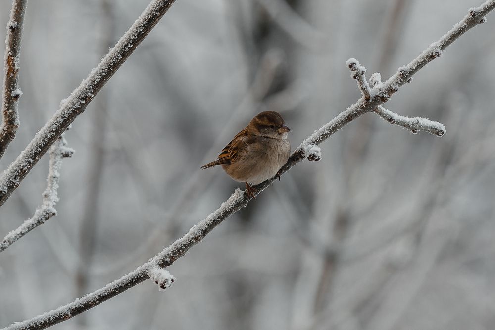 Photograph by Анастасия Петрова