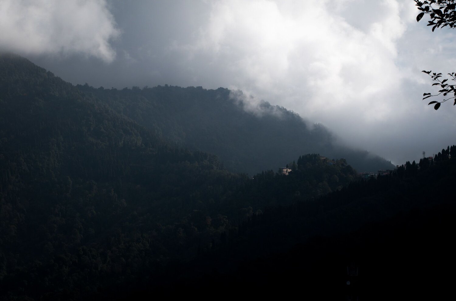 Photo #7386223