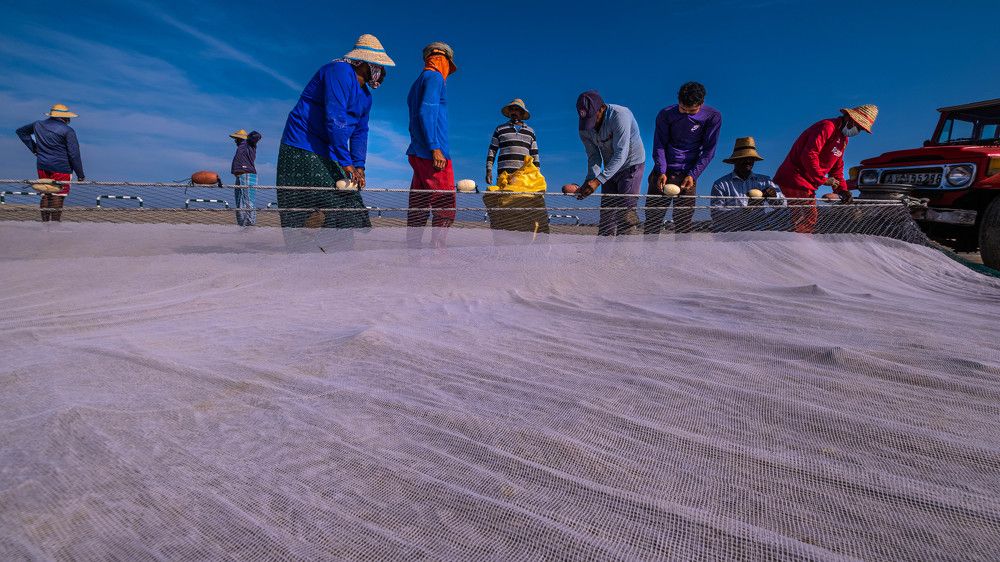 Photograph by TITTU SHAJI THOMAS