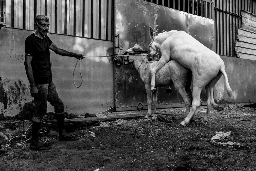 Photograph by Abdul hameed Thahir