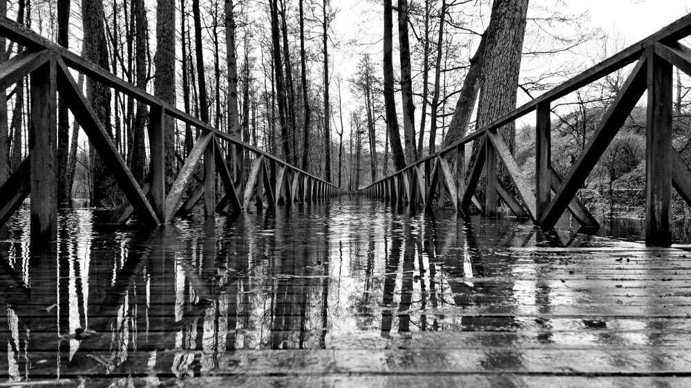 Photograph by Rolandas Valančauskas