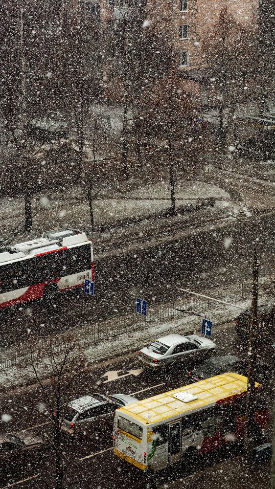 Snowy in Ukraine