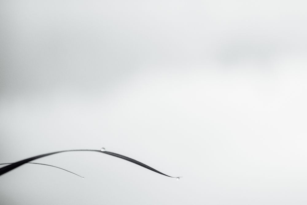 Photograph by Андрей Рэй