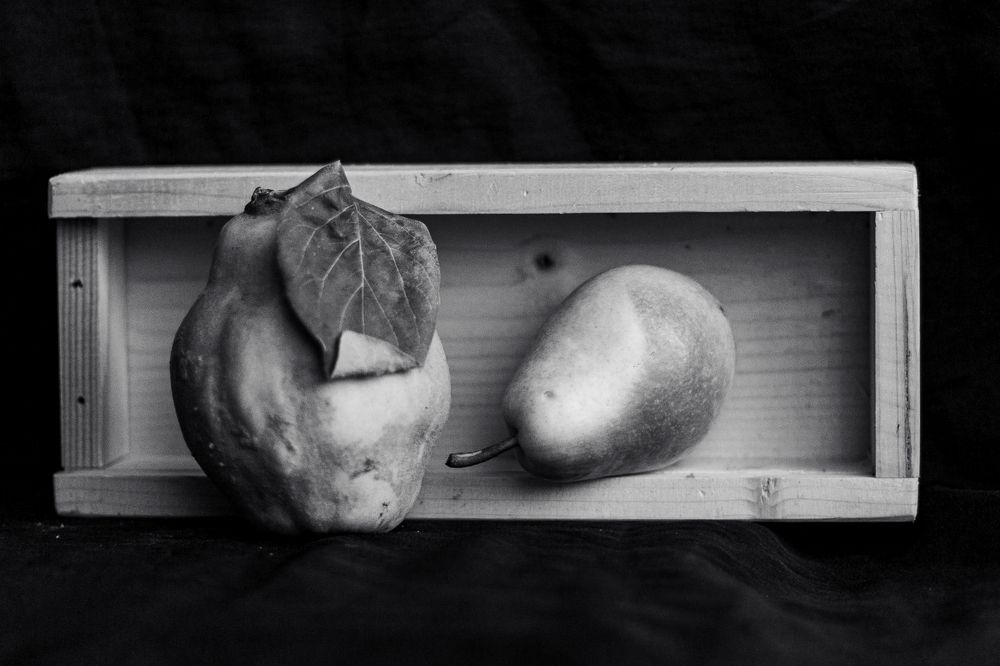 Photograph by Ди Си