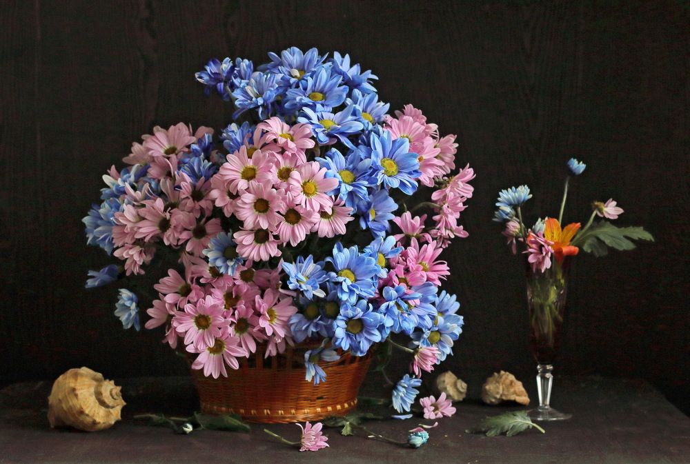 Фотография автора ТАТЬЯНА ЗАХАРОВА